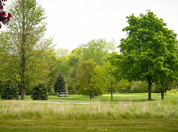 course_photo